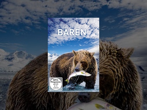 Bären – Einzigartige Filmaufnahmen dieser wilder Tiere