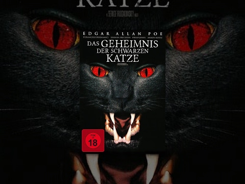 Das Geheimnis der schwarzen Katze
