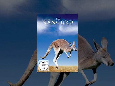 Das Känguru