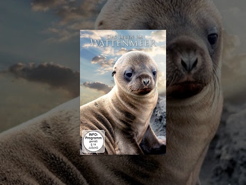 Das Leben im Wattenmeer