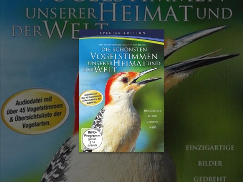 Die schönsten Vogelstimmen unserer Heimat und der Welt