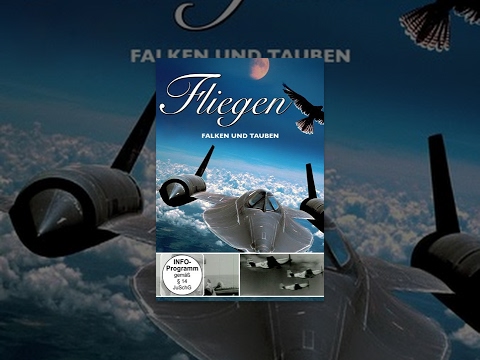 Fliegen – Falken und Tauben
