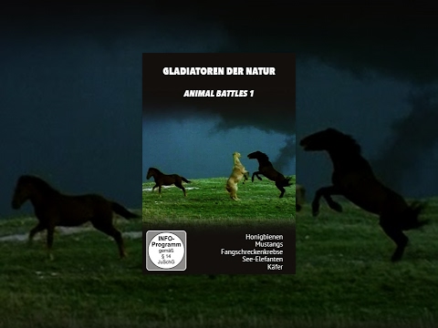 Gladiatoren der Natur – Animal Battles 1