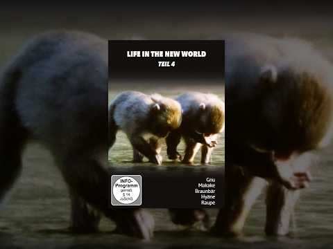 Life in the New World – Teil 4