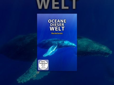 Ozeane dieser Welt – Buckelwale