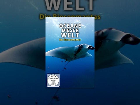 Ozeane dieser Welt – Die Riesenmantas