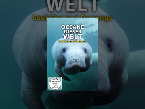 Ozeane dieser Welt – Seekühe und Dugongs