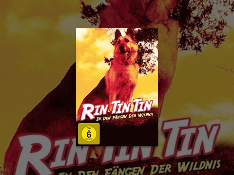 Rin Tin Tin – In den Fängen der Wildnis