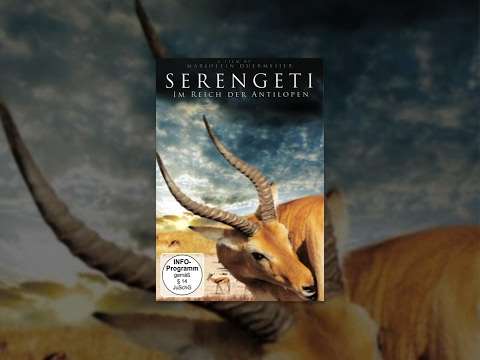 Serengeti – Im Reich der Antilopen