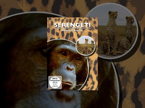 Serengeti Stories