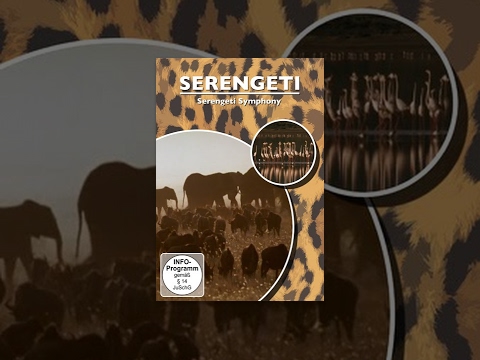 Serengeti Symphony