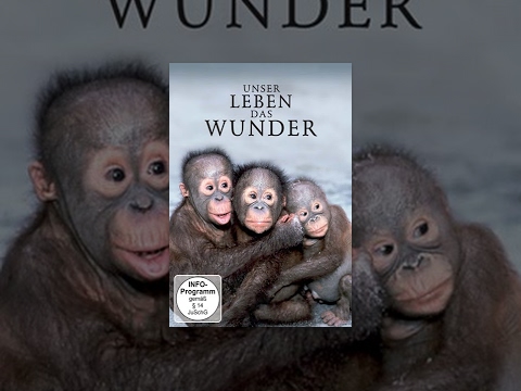 Unser Leben das Wunder