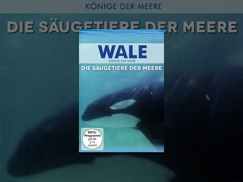 Wale – Die Säugetiere der Meere