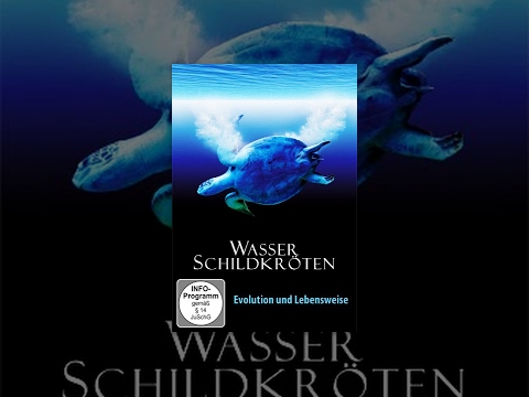 Wasserschildkröten – Evolution und Lebensweise