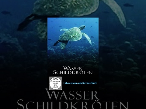 Wasserschildkröten – Lebensraum und Artenschutz