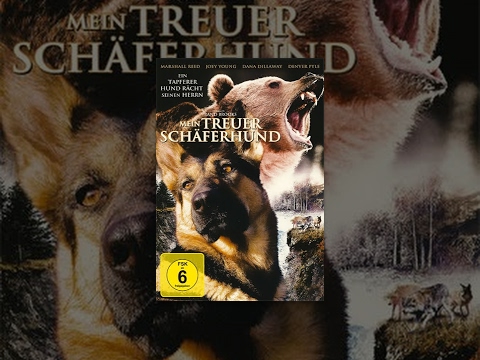 Mein treuer Schäferhund